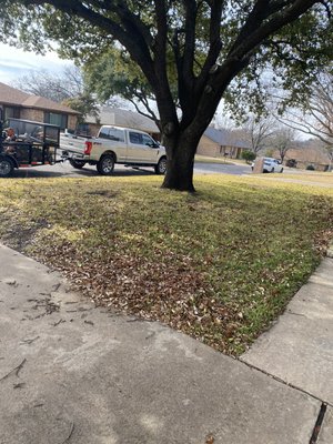 Yard clean up - Yard clean up Yard clean up - Yard clean up