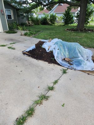 debris haul off - the customer call me and need it out of her yard as soon as possible and j&s lawn care made it happen debris haul off - the customer call me and need it out of her yard as soon as possible and j&s lawn care made it happen