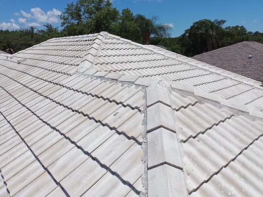 Tile roof wash Palm Harbor FL May 2024 - team@sandbarsoftwash.com doing a roof soft wash and pressure cleaning of a white tile roof in Palm Harbor May 2024 Tile roof wash Palm Harbor FL May 2024 - team@sandbarsoftwash.com doing a roof soft wash and pressure cleaning of a white tile roof in Palm Harbor May 2024