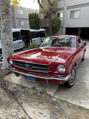‘65 Mustang Fastback - This fastback had been in a garage for years, neglected, but not anymore our customers will be able to enjoy once again new stories with their pony ‘65 Mustang Fastback - This fastback had been in a garage for years, neglected, but not anymore our customers will be able to enjoy once again new stories with their pony