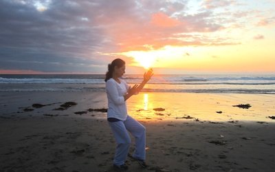 Tai Chi - I'll be glad to help you to encounter this ancient practice and to validate by yourself its own beautiful value. Once you learn a form, you own that form and is something that you can have and practice wherever you go! Tai Chi - I'll be glad to help you to encounter this ancient practice and to validate by yourself its own beautiful value. Once you learn a form, you own that form and is something that you can have and practice wherever you go!