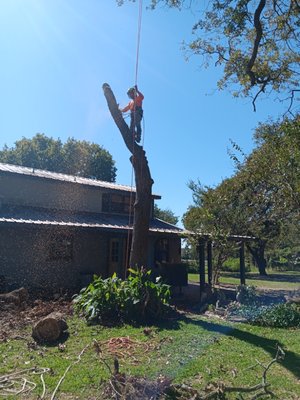 No Bucket Truck Needed - Remove an old tree that was leaning over the customer house. He called wanting to have a bucket truck to get it done. We told him he had professionals that will take care of cutting the tree and take care of his roof. We also assured him that we where Insured and Bonded . Once we where done the customer and it's partner where really happy and thanked us for the work and for saving them Money, since bringing a bucket truck would of been more expensive. No Bucket Truck Needed - Remove an old tree that was leaning over the customer house. He called wanting to have a bucket truck to get it done. We told him he had professionals that will take care of cutting the tree and take care of his roof. We also assured him that we where Insured and Bonded . Once we where done the customer and it's partner where really happy and thanked us for the work and for saving them Money, since bringing a bucket truck would of been more expensive.