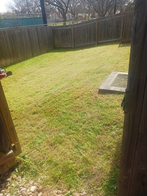 Lawn mowed - Grass was overgrown so we took care of it Lawn mowed - Grass was overgrown so we took care of it