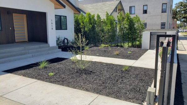 Low-Maintenance Landscape - Minimizing the lawn is always smart, since mowing can take a lot of time and effort.Mulch is great for cutting down on yard work. Low-Maintenance Landscape - Minimizing the lawn is always smart, since mowing can take a lot of time and effort.Mulch is great for cutting down on yard work.