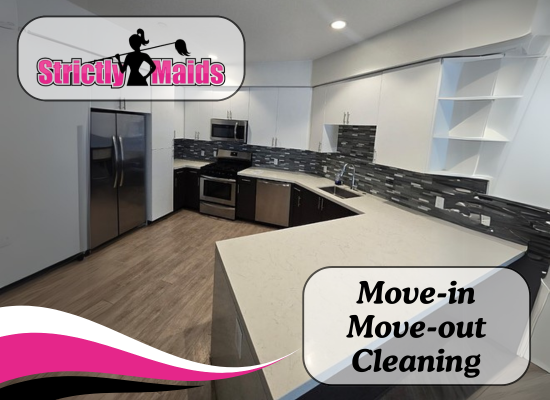 Move-In or Move-Out Cleaning Services - Moving in or moving out can be a stressful, time-consuming, and physically draining activity. Make sure you are prepared before you make that move. Let us help take the stress and some of the physical work out of the move by doing the clean-up for you, so you can focus on more important activities related to your move. 
Give us a call today to schedule your Move-In/Move-Out cleaning.  Our service is available in Chula Vista, Bonita, Otay Ranch, and Eastlake. Move-In & Move-Out Cleaning is at $45/ Hour per person.

Also, ask us about: post construction cleaning, apartment cleaning, move out cleaning, commercial cleaning services, Airbnb cleaning, and move in cleaning services.