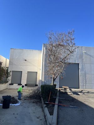 WAREHOUSE- Landscape Maintenance Services - Green walnut Landscaping and maintenance provides weekly and Bi-weekly landscaping maintenance to Warehouse Buildings. WAREHOUSE- Landscape Maintenance Services - Green walnut Landscaping and maintenance provides weekly and Bi-weekly landscaping maintenance to Warehouse Buildings.