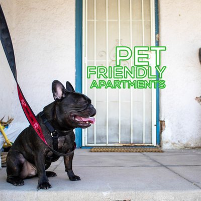 Pet-Friendly Housing - Pet-friendly, conveniently located apartments, housing & studios throughout Central Tucson.