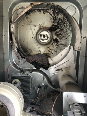 Dryer clean out - Most people don’t know that Dryer builds up lint as much as you clean the lint trap it will still build up lint causing lint to fall in the dryer and sit in there from all that heat if the lint was to catch fire it would spread a average family home of 5 would recommend atleast once every year and half to get done and anything small every two years the lint built up also causes your dryer to take multiple cycles to dry a load Dryer clean out - Most people don’t know that Dryer builds up lint as much as you clean the lint trap it will still build up lint causing lint to fall in the dryer and sit in there from all that heat if the lint was to catch fire it would spread a average family home of 5 would recommend atleast once every year and half to get done and anything small every two years the lint built up also causes your dryer to take multiple cycles to dry a load