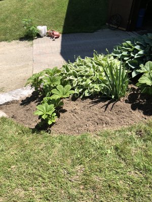 Small garden reclamation - This small garden hadn’t been tended too in quite awhile . in short time , we brought it back to its former glory. Small garden reclamation - This small garden hadn’t been tended too in quite awhile . in short time , we brought it back to its former glory.