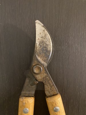 Garden Shear - We sharpen garden shears for $15 each.
Takes around one hour. Garden Shear - We sharpen garden shears for $15 each.
Takes around one hour.
