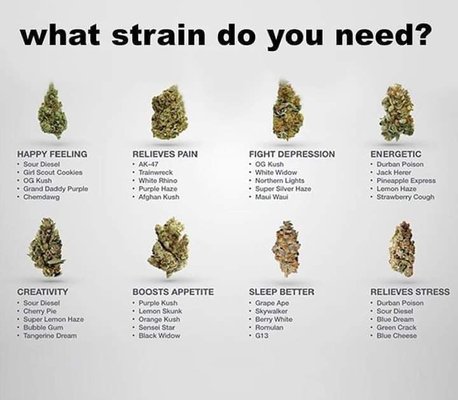 Medical Card Not Needed - We are a locally owned Delta Dispensary! Come in and check us out