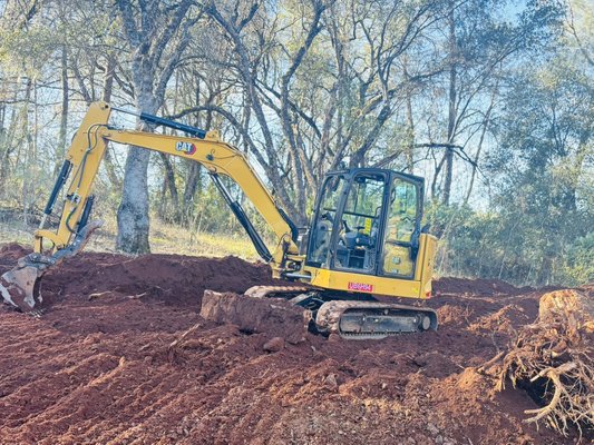 Removing stumps to add more RV parking for customer - Stump removal and adding RV parking for Foresthill customers Removing stumps to add more RV parking for customer - Stump removal and adding RV parking for Foresthill customers