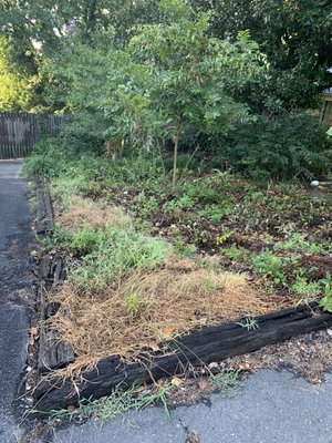 Natural Area Renovation - Our customer came to us with a large problem of an overgrown natural area. No worries, we took care of it since this is our specialty. We cleared out trees, vines, unwanted plants, and leveled out the area. We sprayed for weeds twice and layed down a great weed barrier. With a little TLC, this area will be the best in the town!