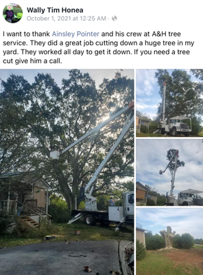 Large tree on home - This large tree was on the customers home. We were able to remove it with no damage to the home and no debris left behind. Large tree on home - This large tree was on the customers home. We were able to remove it with no damage to the home and no debris left behind.