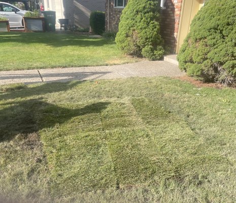 Provo House 2025 - Old house in Provo needed hole filled and sod laid. Provo House 2025 - Old house in Provo needed hole filled and sod laid.