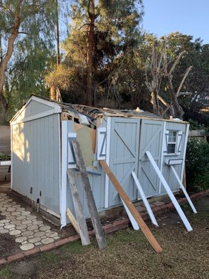 Shed Demolition and Haul Away - A tree fell on top of this shed due to strong winds! The home owners contacted The Junk Gentlemen and it was demolished and hauled away no more than a few days later. Call us today for fast and affordable junk removal and demolition services! Shed Demolition and Haul Away - A tree fell on top of this shed due to strong winds! The home owners contacted The Junk Gentlemen and it was demolished and hauled away no more than a few days later. Call us today for fast and affordable junk removal and demolition services!
