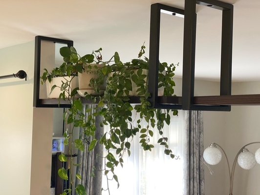 Custom Metal/Wood Ceiling Brackets - These custom metal ceiling brackets were requested by a client who needed additional space for her indoor plants during the winter months. They are made from rectangular steel tubing that has been primed and painted black. Each bracket is designed to hold a 12-inch wide by 2-inch thick piece of oak, which has been stained dark kona.
NOTE: These were specifically designed to facilitate installation based on this client's ceiling specifications. Custom Metal/Wood Ceiling Brackets - These custom metal ceiling brackets were requested by a client who needed additional space for her indoor plants during the winter months. They are made from rectangular steel tubing that has been primed and painted black. Each bracket is designed to hold a 12-inch wide by 2-inch thick piece of oak, which has been stained dark kona.
NOTE: These were specifically designed to facilitate installation based on this client's ceiling specifications.