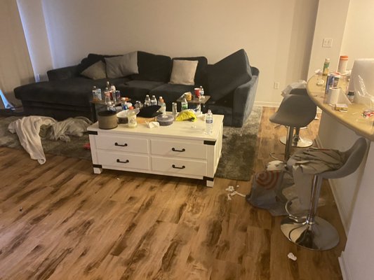 House cleaning - This was done a regular cleaning it was all thrown a lot of garbage but in the end the client was happy