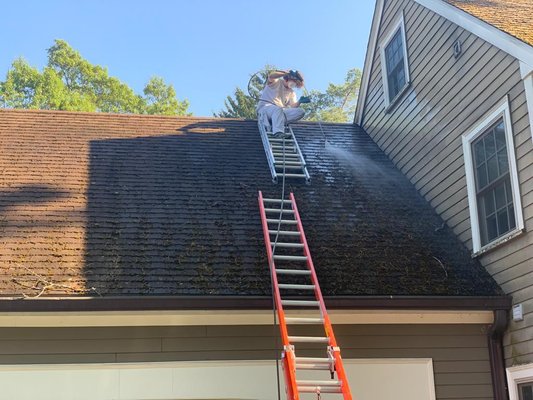 Roof, Deck, Mold Cleaning. - We wash the whole house along with the roof and deck we remove all the mold.