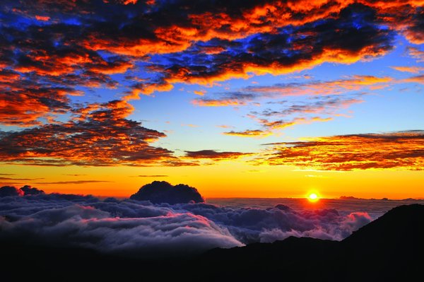 Outcalls available island wide except Hana - Service available island wide, extra charge depending on distance. Outcalls available island wide except Hana - Service available island wide, extra charge depending on distance.