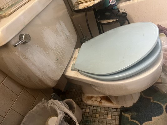 Antes y después de este baño - Un baño demasiado sucio