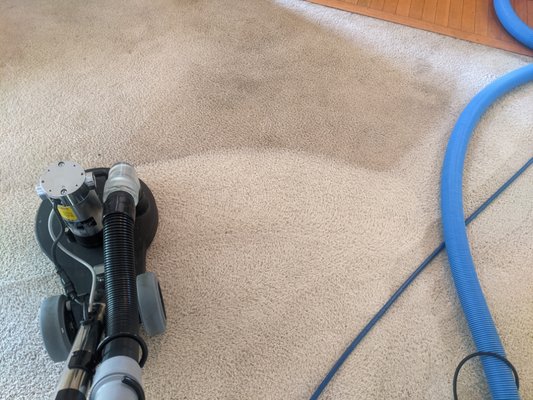 Neutralizing a Soap-filled Carpet - Oftentimes my customers feel embarrassed because their carpets look oddly dirty. I can immediately tell when a carpet is packed full of soapy residue. The carpet doesn't necessarily look dirty, it just looks like it has a very weird, dark haze.
Whether you use your home carpet shampooer, or you hire a cheap carpet cleaning company, chances are that they clean with shampoo, but don't rinse it out.
There is no secret here. When I clean carpets, I pre-spray them first break down the soil accumulation, and then I use a neutralizing rinse through my equipment. This neutralizing rinse will neutralize the pre-spray that I put down, and also the high alkaline soap residue left in your carpets from the previous cleaning.
When your carpets are left in a neutral state, they won't want to attract dirt nearly as fast.
When your carpets are left in a soap alkaline state, they literally become a dirt magnet.
I use the same principal when cleaning upholstery, rugs, and even hardwood floors. Neutralizing a Soap-filled Carpet - Oftentimes my customers feel embarrassed because their carpets look oddly dirty. I can immediately tell when a carpet is packed full of soapy residue. The carpet doesn't necessarily look dirty, it just looks like it has a very weird, dark haze.
Whether you use your home carpet shampooer, or you hire a cheap carpet cleaning company, chances are that they clean with shampoo, but don't rinse it out.
There is no secret here. When I clean carpets, I pre-spray them first break down the soil accumulation, and then I use a neutralizing rinse through my equipment. This neutralizing rinse will neutralize the pre-spray that I put down, and also the high alkaline soap residue left in your carpets from the previous cleaning.
When your carpets are left in a neutral state, they won't want to attract dirt nearly as fast.
When your carpets are left in a soap alkaline state, they literally become a dirt magnet.
I use the same principal when cleaning upholstery, rugs, and even hardwood floors.