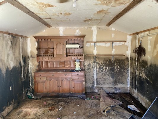 Mold Remediation - Mold restroration job to create a safe place for a "She-Shed"! Mold Remediation - Mold restroration job to create a safe place for a "She-Shed"!