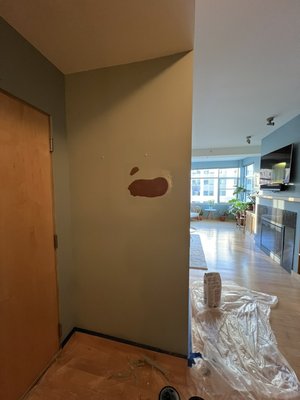 Repair & Paint On One Wall - This small project was brought by a customer that had pulled his picture from the wall that was being held by glue. I proceeded to mud, did two coats. I then sanded, primed, and finally painted to make the wall look like nothing had ever happened.