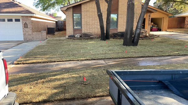 New sod - This transformation was taking out old lawn covered in weeds and replaced with fresh cut celebration Bermuda