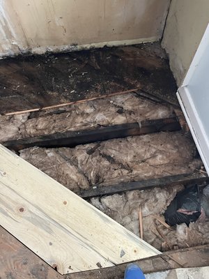 James b of Tacoma - Washer leaking for two years the destroyed the floor