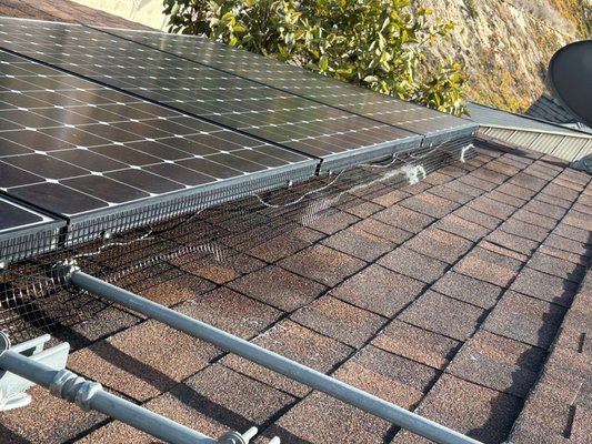 "Roof Cleaning & Maintenance - Fire Prevention" - "This project involved a thorough roof cleaning to remove debris, leaves, and moss buildup, reducing fire hazards and improving roof longevity. Additionally, we performed a professional solar panel cleaning to maximize energy efficiency by removing dust and dirt that can reduce performance. Our expert team ensured the roof and panels were left in top condition, protecting the home and enhancing solar energy output." "Roof Cleaning & Maintenance - Fire Prevention" - "This project involved a thorough roof cleaning to remove debris, leaves, and moss buildup, reducing fire hazards and improving roof longevity. Additionally, we performed a professional solar panel cleaning to maximize energy efficiency by removing dust and dirt that can reduce performance. Our expert team ensured the roof and panels were left in top condition, protecting the home and enhancing solar energy output."