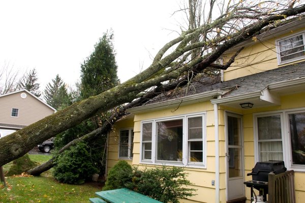 Storm Damage Tree Removal - Storm Damage Tree Removal Storm Damage Tree Removal - Storm Damage Tree Removal