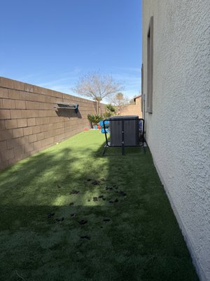 One-Time Pickup - Even with just one dog, things can pile up quickly.
This medium yard needed a serious reset, and we took care of it with a one-time cleanup.
Need a fresh start without committing to recurring service? We’ve got you covered. One-Time Pickup - Even with just one dog, things can pile up quickly.
This medium yard needed a serious reset, and we took care of it with a one-time cleanup.
Need a fresh start without committing to recurring service? We’ve got you covered.