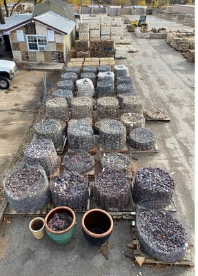 Our Lewisville Stone Yard - If you use our tree service, you can get 2 yards of mulch for FREE. We have different colors you can choose from: Red, Black, Mahogany Brown, Chocolate Brown, Natural single Shredded, and Natural Double Shredded. For our tree customers, we also offer 10% off all products in our yard, for up to 2 years. We offer Chop Stone, Flagstone, gravel, River Rock, Mexican Beach Pebble, Sand, Firewood, and more! Our Lewisville Stone Yard - If you use our tree service, you can get 2 yards of mulch for FREE. We have different colors you can choose from: Red, Black, Mahogany Brown, Chocolate Brown, Natural single Shredded, and Natural Double Shredded. For our tree customers, we also offer 10% off all products in our yard, for up to 2 years. We offer Chop Stone, Flagstone, gravel, River Rock, Mexican Beach Pebble, Sand, Firewood, and more!