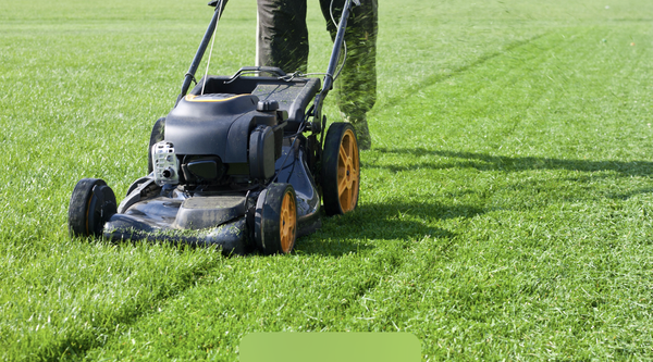 Mowing - Booking for spring all your lawn care needs Mowing - Booking for spring all your lawn care needs