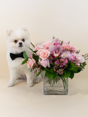 Birthdays - Celebrate their special day with flowers as beautiful as your bond. Handcrafted birthday bouquets to express everything you feel. Our fresh floral arrangements are the perfect way to add a little luxury to their day. From marking a milestone to a romantic gesture, our beautiful birthday blooms are sure to wow. Celebrate a sweet 16 with delicate pink, honor their 21st with a brightly-colored bouquet, or treat special someone to timeless roses. Birthdays - Celebrate their special day with flowers as beautiful as your bond. Handcrafted birthday bouquets to express everything you feel. Our fresh floral arrangements are the perfect way to add a little luxury to their day. From marking a milestone to a romantic gesture, our beautiful birthday blooms are sure to wow. Celebrate a sweet 16 with delicate pink, honor their 21st with a brightly-colored bouquet, or treat special someone to timeless roses.