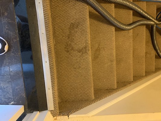 Stairs cleaning - Client of ours were selling the house and called us to clean this stairs. She had tenants staying there and they had a dog, so carpet had some stains from the dog. On top of that there was a construction in the basement so that added more stains and dirt. We did a shampoo cleaning plus stain removal process and deodorizing that made this carpet look, if not brand new, but close to it!