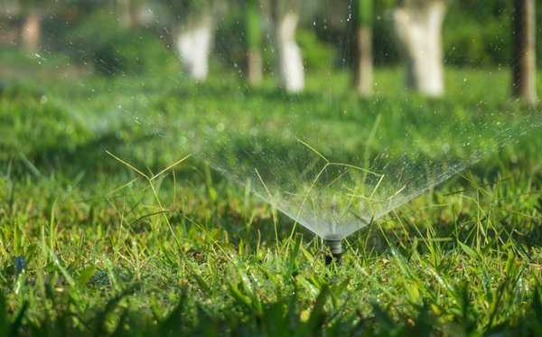 Sprinkler System Check / Maintenance - I'm a licensed irrigator and have been in the industry for 30 years. I have worked in the field repair sprinkler systems for 10+ years and also worked wholesale selling irrigation, landscape and lawn maintenance equipment for 15 years. I found I love working on sprinkler systems and getting my hands dirty rather than being behind a desk so I started my own business.

 

I have experience tackling a range of residential and commercial projects. My focus is to make sure you have a sprinkler system that is working efficiently and repairs are done correctly and quickly. Please get in touch to find out more about my services.