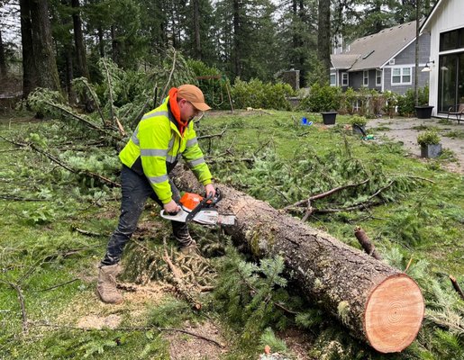 Tree Takedown - We know trees, our trained Arborists are just one call away. We'll trim, prune, top, or remove your tree. Get a free consultation today! 360-713-8022 Tree Takedown - We know trees, our trained Arborists are just one call away. We'll trim, prune, top, or remove your tree. Get a free consultation today! 360-713-8022