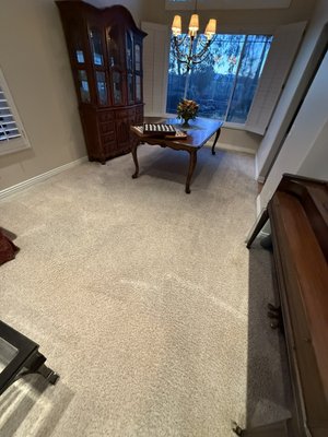Deep Carpet Cleaning & Pet Urine Treatment - Our specialized carpet cleaning service goes beyond standard cleaning to tackle one of the most stubborn household problems—pet urine. Pet accidents can leave behind unpleasant odors, stains, and even harmful bacteria if not treated properly. We use a combination of deep-cleaning techniques and enzymatic treatments to completely eliminate urine residues, neutralize odors, and restore your carpet’s appearance. Deep Carpet Cleaning & Pet Urine Treatment - Our specialized carpet cleaning service goes beyond standard cleaning to tackle one of the most stubborn household problems—pet urine. Pet accidents can leave behind unpleasant odors, stains, and even harmful bacteria if not treated properly. We use a combination of deep-cleaning techniques and enzymatic treatments to completely eliminate urine residues, neutralize odors, and restore your carpet’s appearance.