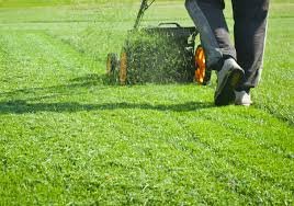 Lawn Care & Lawn Service - We Guarantee god work & reasonable price!
We have 25 years of experience. Lawn Care & Lawn Service - We Guarantee god work & reasonable price!
We have 25 years of experience.