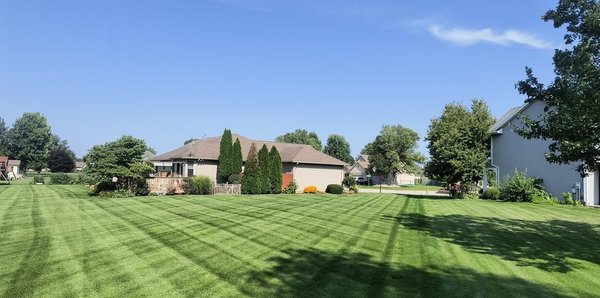 For a perfect lawn, call us today! - No lawn is too big or too small! Call today! For a perfect lawn, call us today! - No lawn is too big or too small! Call today!