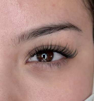 Sunflower - Sunflower Eyelash Extensions style is designed to mimic the radiant and vibrant look of a sunflower. This lash set features a combination of wispy, fanned-out spikes with soft volume layers, creating a bright, open-eye effect. Sunflower - Sunflower Eyelash Extensions style is designed to mimic the radiant and vibrant look of a sunflower. This lash set features a combination of wispy, fanned-out spikes with soft volume layers, creating a bright, open-eye effect.