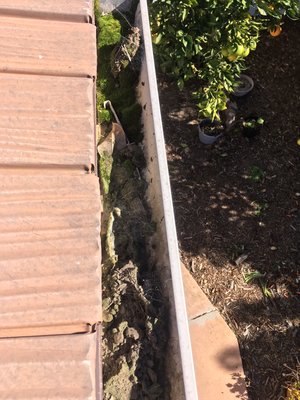 Solar Panel & Gutter Cleaning - Encinitas - Gutters not releasing water - obstructed by organic debris not removing water away from the home.

Solar panels not at optimum due to pollen, dust, and other organic growth and materials.

Cleaned - operating at optimum.