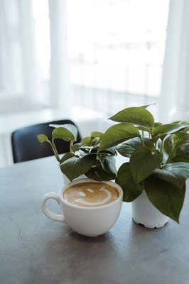 Cafe - Cafe & lobby Cafe - Cafe & lobby