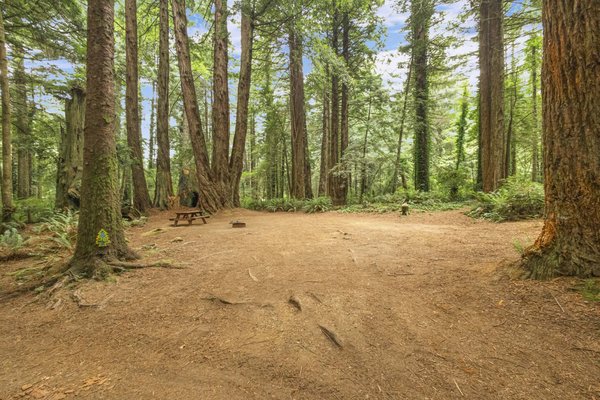 RV & Tent Camping - We’ve got plenty of camping options from RV back-in and pull-through sites to pop-up and tent camping. RV & Tent Camping - We’ve got plenty of camping options from RV back-in and pull-through sites to pop-up and tent camping.