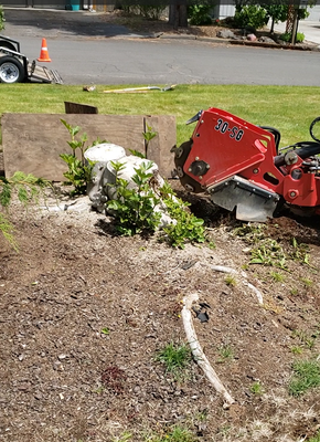 Removing stump - This client wanted to completely remove the tree, so Toto's Tree Service LLC. He made it possible thanks to the use of the appropriate tools and with professionalism to not damage anything around and leave the job as clean as possible. Removing stump - This client wanted to completely remove the tree, so Toto's Tree Service LLC. He made it possible thanks to the use of the appropriate tools and with professionalism to not damage anything around and leave the job as clean as possible.