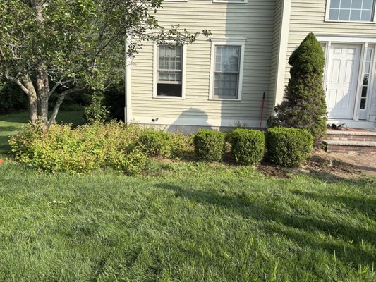 Weeding and Mulch Job - This was a weeding and mulching job shown below. Weeding and Mulch Job - This was a weeding and mulching job shown below.