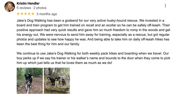 Google Reviews - Check out what people are saying about Jake's Dog Walking and Pet Care! 🐾🐶 Google Reviews - Check out what people are saying about Jake's Dog Walking and Pet Care! 🐾🐶