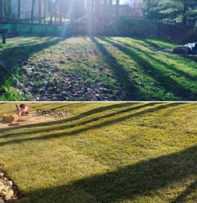 sod installation - 8000 sq ft sod installation sod installation - 8000 sq ft sod installation